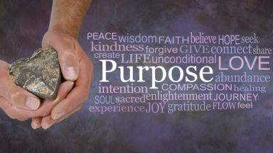purpose-gratitude