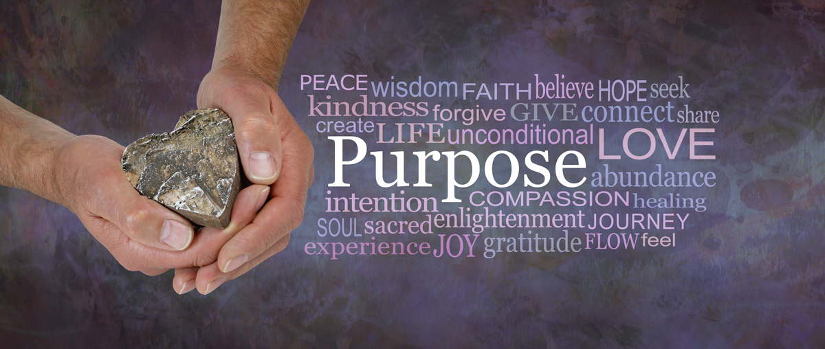 purpose-gratitude