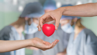 organ donation concept