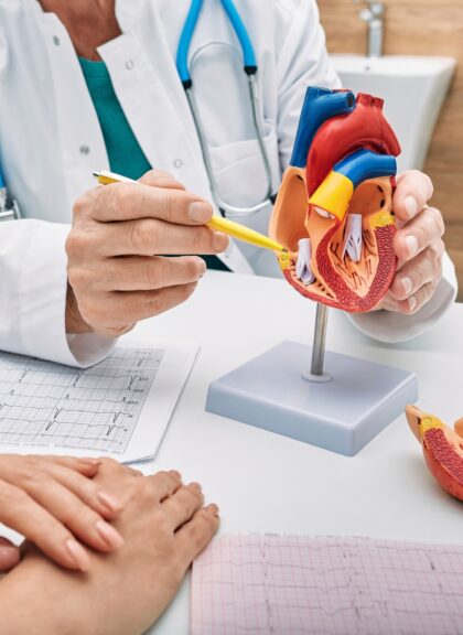 Cardiologist using a heart model to explain hypercholesterolemia and its effects on cardiovascular health.